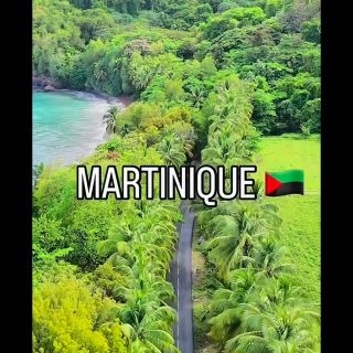 🌴✨ Que faire en Martinique ? Voici quelques idées pour un séjour inoubliable 🇲🇶

🚤 Partez pour une journée en bateau à la découverte des îles au large : snorkeling sur des fonds riches en poissons tropicaux, exploration des fonds blancs (ces bancs de sable en pleine mer aux eaux turquoise peu profondes), et même le fameux bain avec le rhum dans l’eau pour une ambiance 100% locale ☺️… paysages de rêve et sensation d’évasion garantie.

🐢 Direction une plage paradisiaque pour nager avec les tortues : Anse Dufour. Petit conseil : n’hésitez pas à aller un peu au large pour maximiser vos chances de les observer dans leur habitat naturel 🤍

🌑 Juste à côté, découvrez Anse Noire : une plage unique avec son sable noir volcanique (assez rare en Martinique), où vous pourrez aussi apercevoir des tortues.

🦎 Partez en excursion sur l’îlet Chancel, une île remplie d’iguanes. Une demi-journée suffit pour en profiter pleinement. Conseil : soyez très silencieux et observateur… ils sont partout mais savent parfaitement se camoufler 👀

🛶 Offrez-vous une matinée ou un après-midi en kayak, entre mangrove et mer calme… un moment apaisant au cœur de la nature.

⛰️ Pour les plus sportifs, lancez-vous dans l’ascension de la Montagne Pelée : une randonnée intense mais une vue à couper le souffle à la clé.

🌺 Enfin, plongez dans la culture locale en découvrant les coutumes de l’île : balade dans les villes, visite des marchés colorés, dégustation de spécialités… une immersion authentique et chaleureuse.

⚠️ À Savoir 

- Les tortues sont protégées —> on regarde, on ne touche pas 
- ⁠Masque + Tuba indispensable 
- ⁠Crème solaire indispensable 

✨ La Martinique, c’est bien plus qu’une destination… c’est une expérience.

#Martinique #Voyage #TravelGoals #Caraïbes #Nature Aventure Plages Vacanc